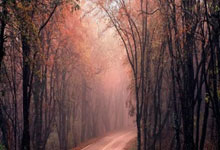 2020湖人总决赛全部回放哪里能看?经典战役细节与精彩瞬间全解析