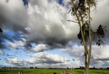 葡萄牙对阵加纳,这场世界杯对决有哪些看点和关键因素?